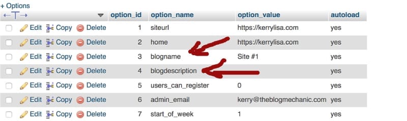 Screenshot of database rows
