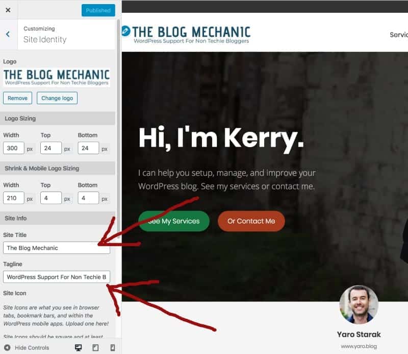 Screenshot: changing site title with the theme customizer